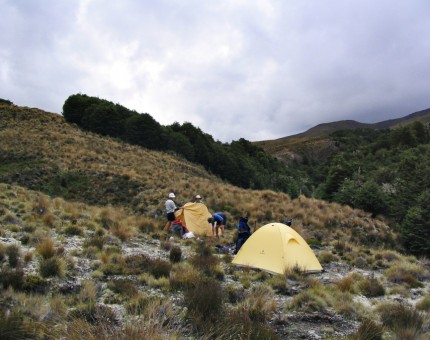 Campsite Southern Kaimanawas